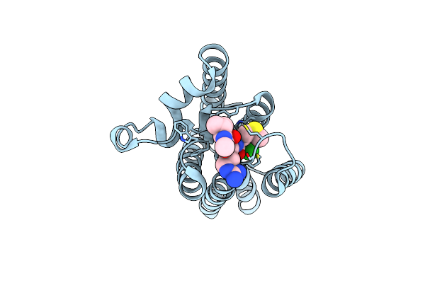 6VJ8 image