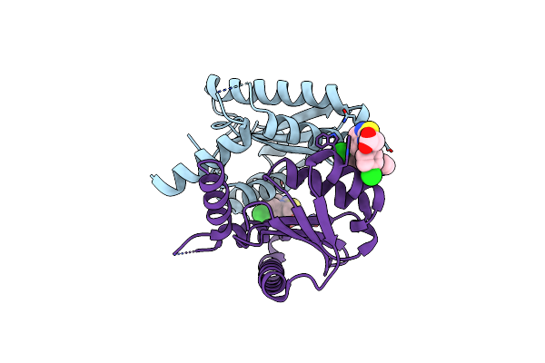 6VLM image