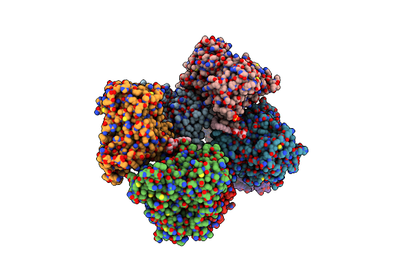 6VLT image