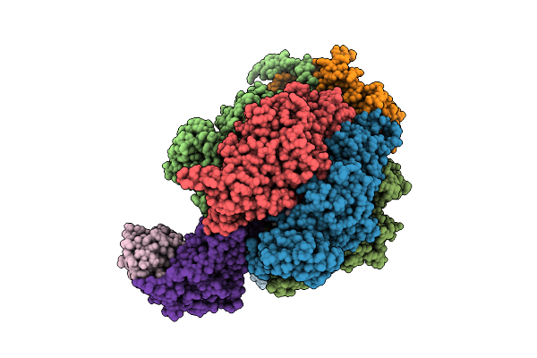 6VMD image