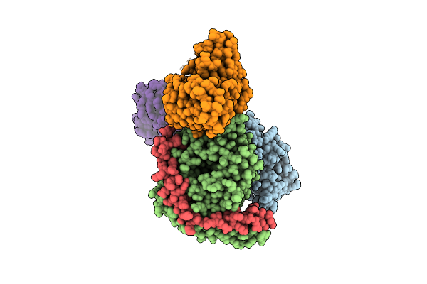 6VMS image