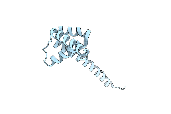 6VMT image