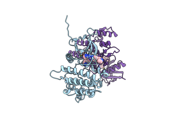 6VNC image
