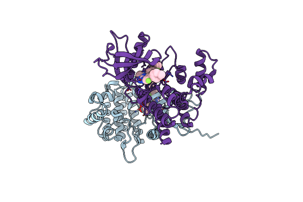 6VNH image