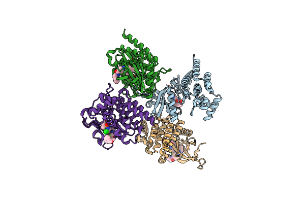 6VNL image