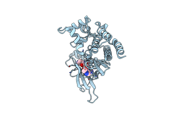 6VNS image