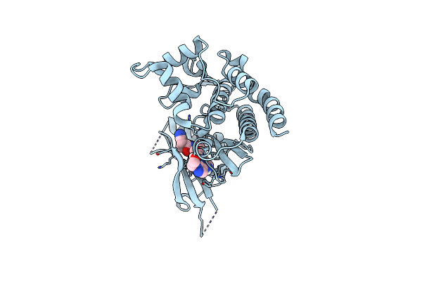 6VNV image