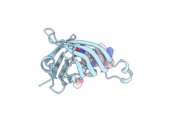 6VOB image