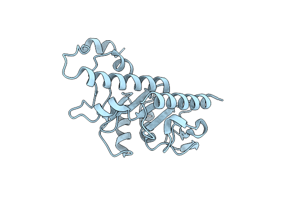 6VOP image