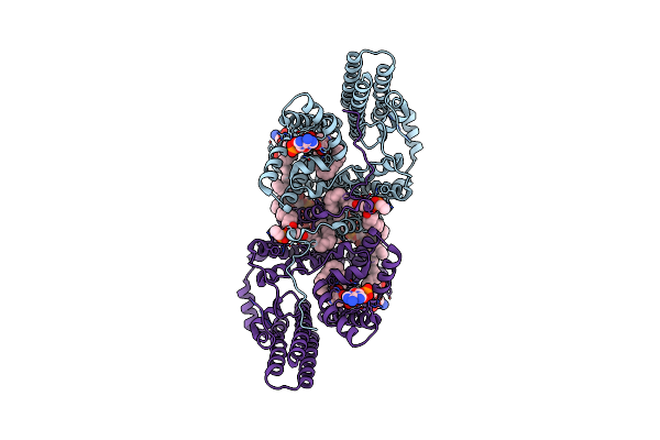 6VP0 image