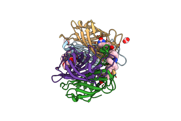 6VP2 image