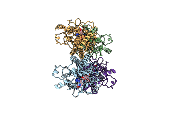 6VP4 image