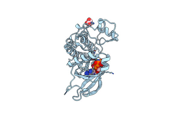 6VPI image