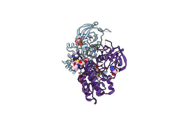 6VPM image