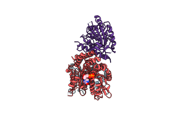 6VPP image