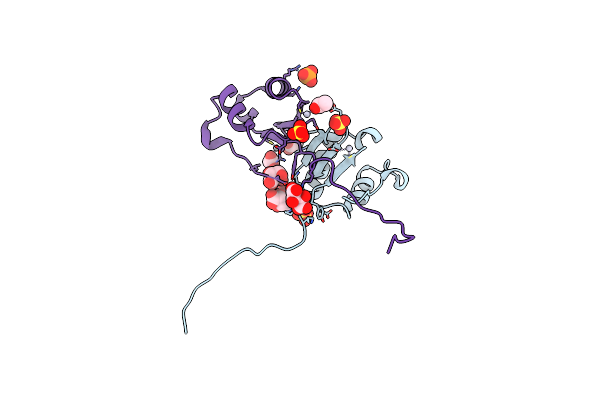 6VPR image