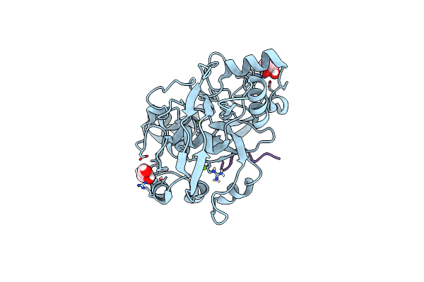 6VQP image