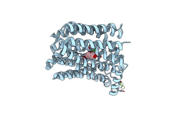 6VRZ image