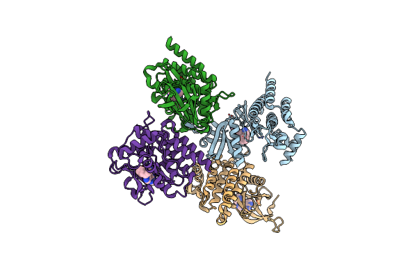 6VSN image