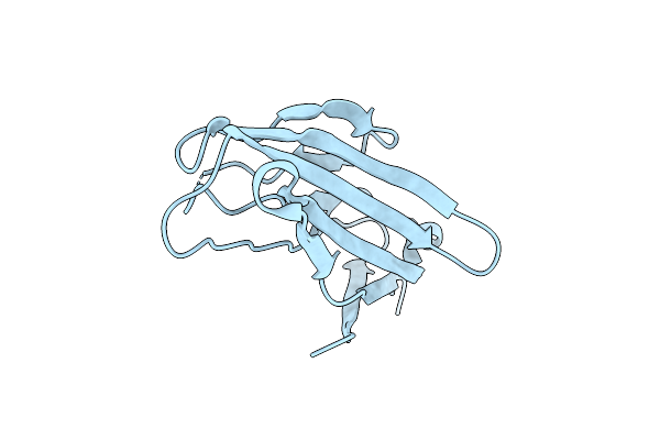 6VSV image