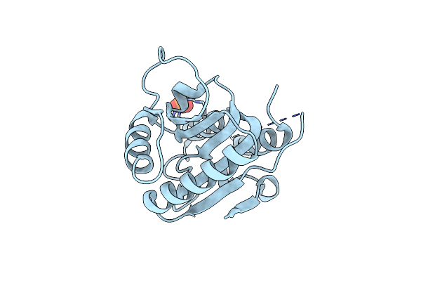 6VSX image