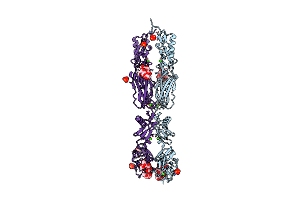 6VT2 image