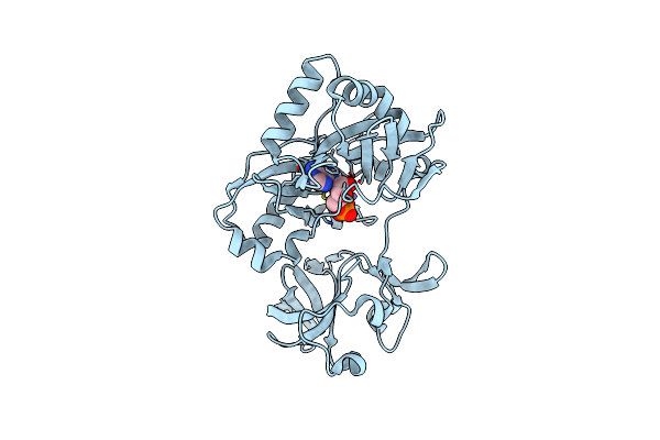 6VTE image