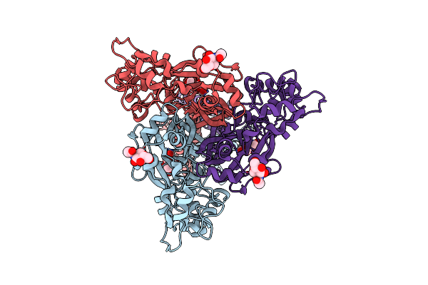 6VTK image
