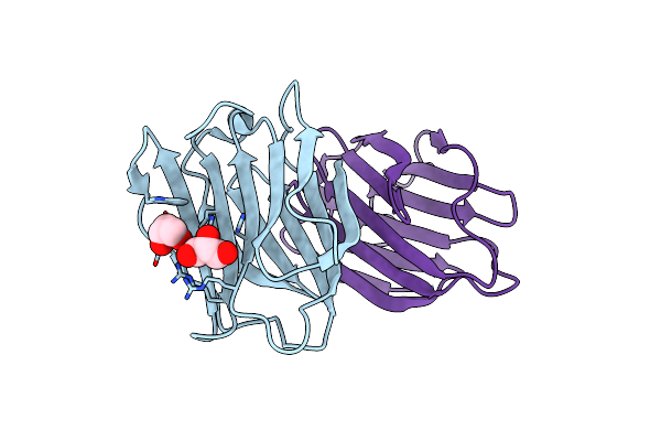 6VTP image