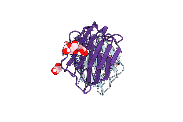 6VTS image