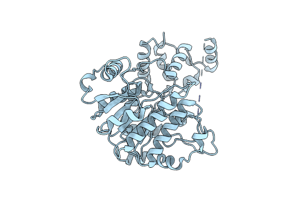 6VTZ image