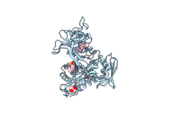 6VUS image