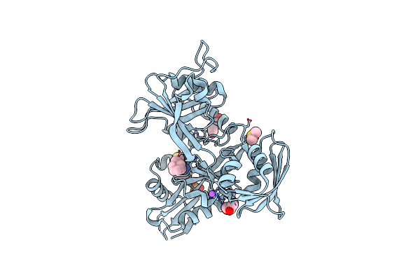 6VV2 image