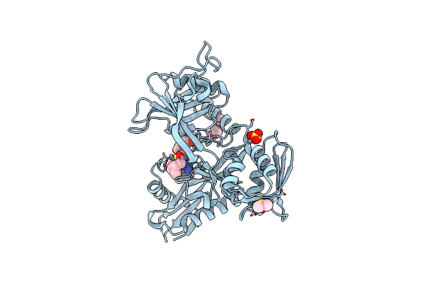 6VV3 image