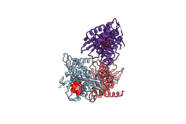 6VVD image