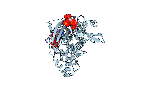 6VVE image