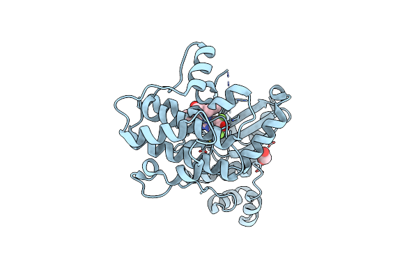 6VXR image