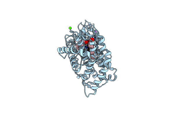6VXV image