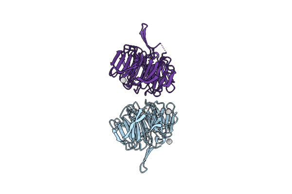 6VYC image