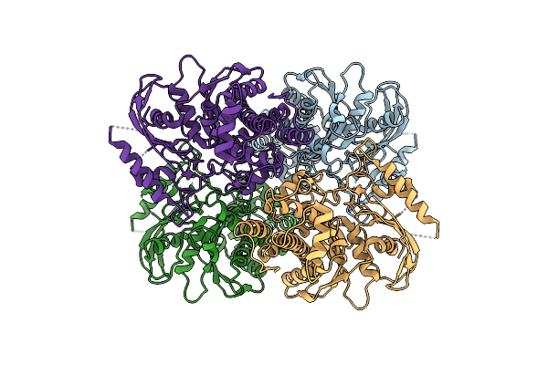 6VYG image