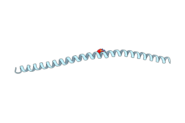 6VZF image