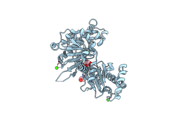 6VZZ image