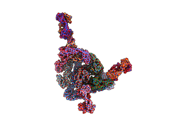 6W1C image