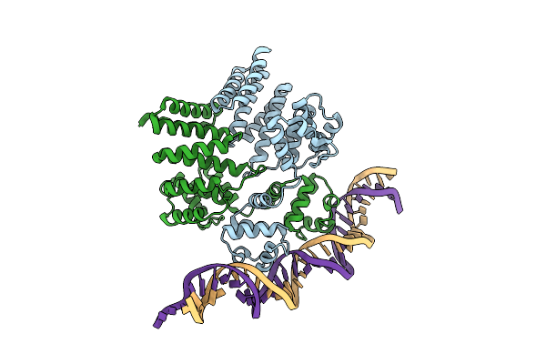 6W1F image