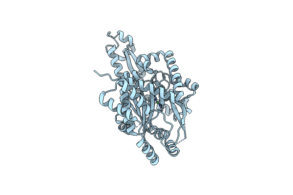 6W1G image