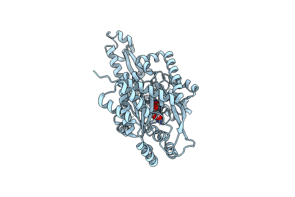 6W1H image