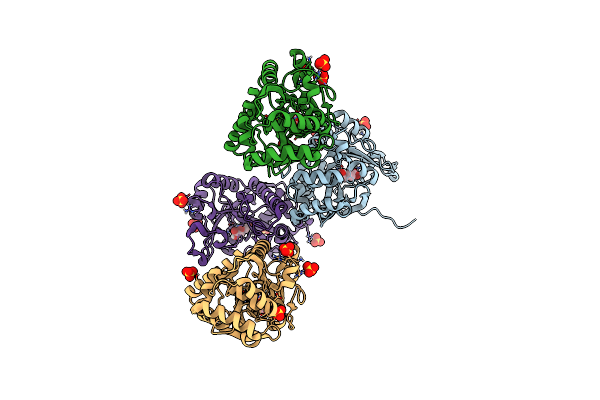 6W1K image