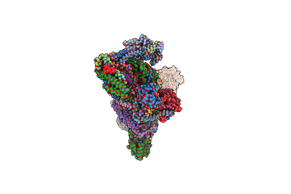 6W1S image