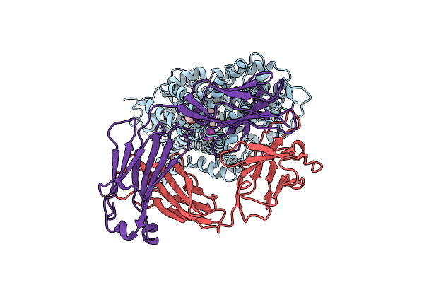 6W2C image