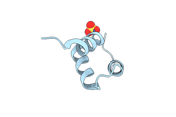 6W2H image